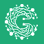 Neurolify website icon